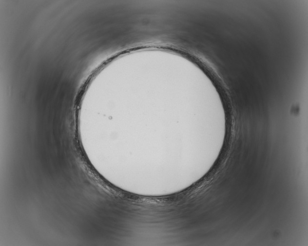 X0000115181270200912091038