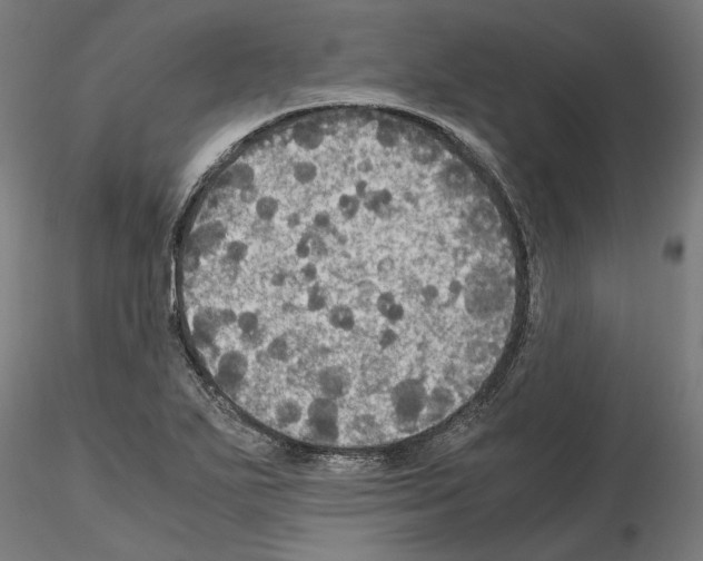 X0000115181271200912091038