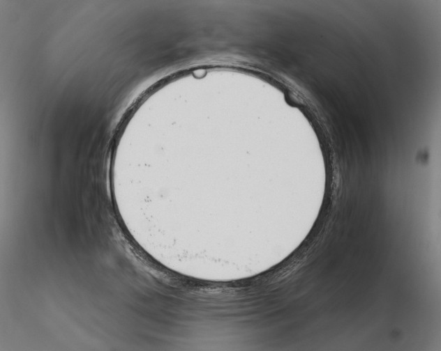 X0000115181272200912091038