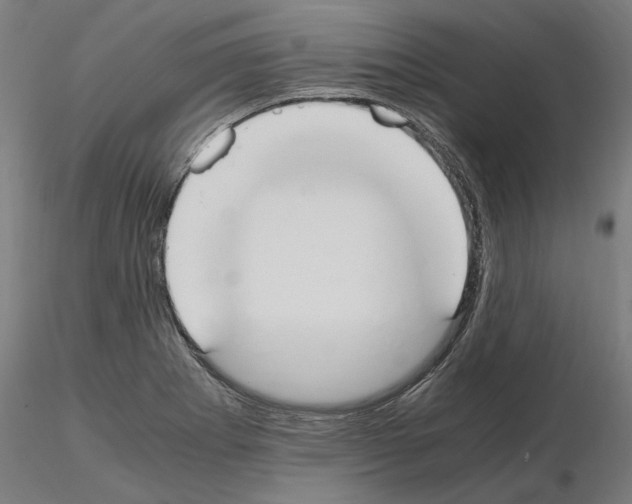 X0000115181273200912091038