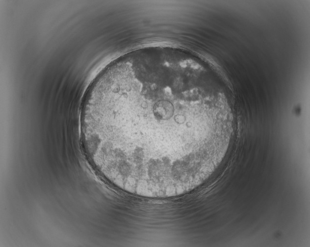 X0000115181274200912091038