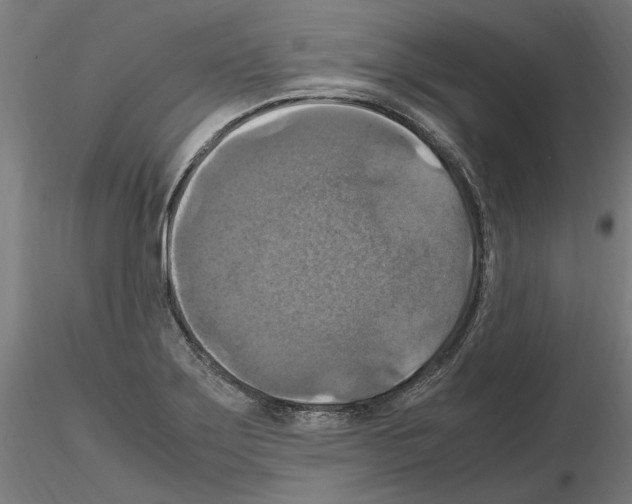 X0000115181275200912091038