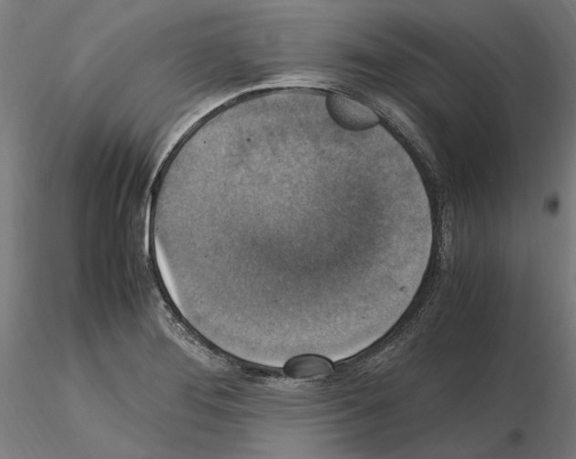 X0000115181276200912091038