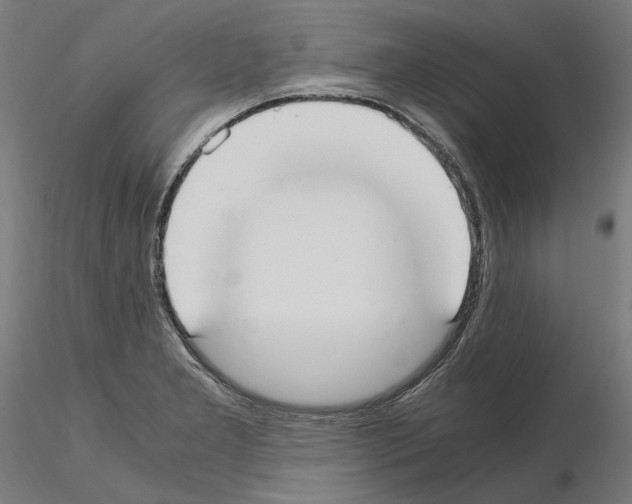 X0000115181277200912091038