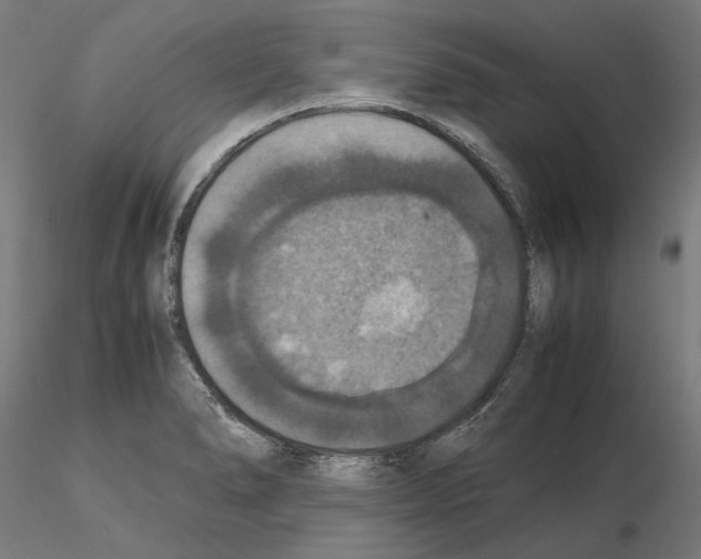 X0000115181278200912091038