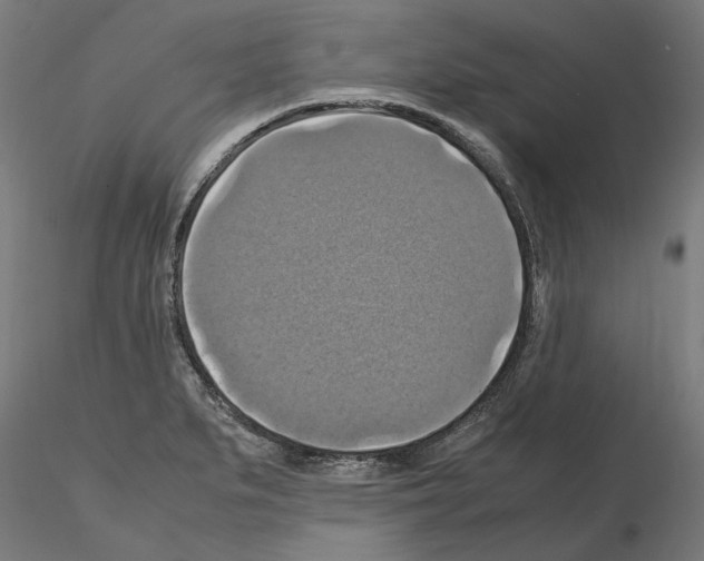 X0000115181279200912091038