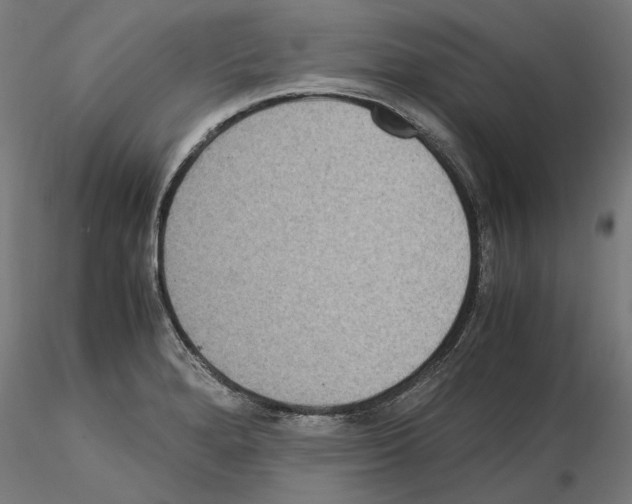 X0000115181280200912091038