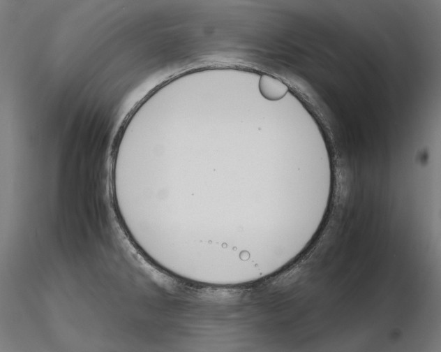 X0000115181286200912091038