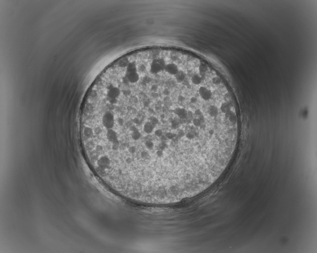 X0000115181287200912091038