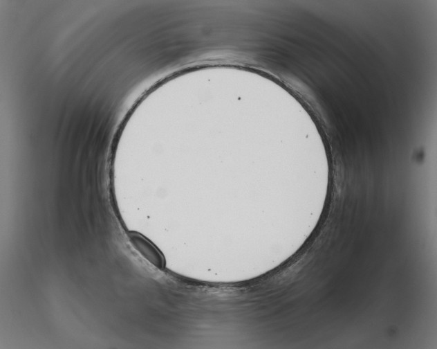 X0000115181288200912091038