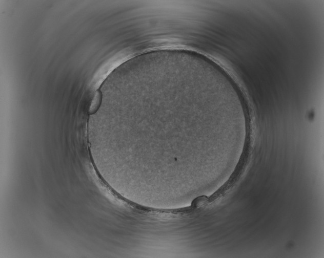 X0000115181289200912091038