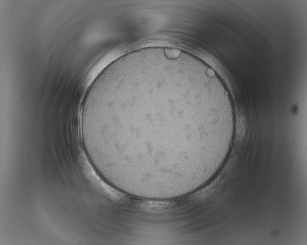 X0000115181290200912091038