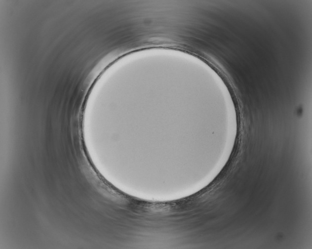 X0000115181291200912091038
