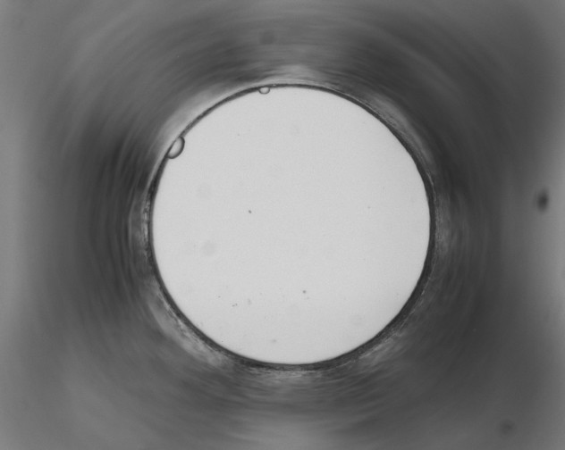 X0000115181292200912091038