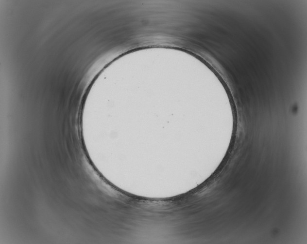 X0000115181293200912091038
