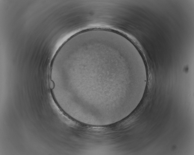 X0000115181295200912091038
