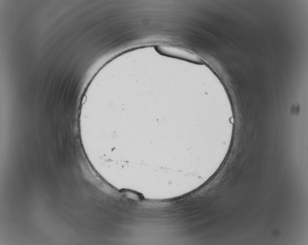 X0000115181296200912091038