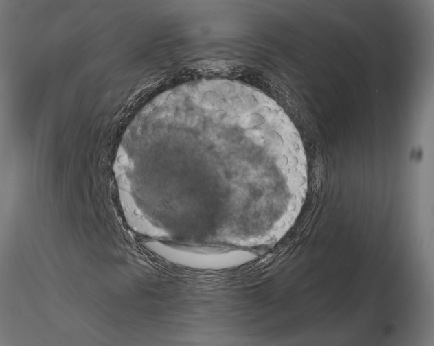 X0000115181297200912091037
