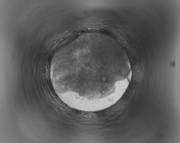 X0000115181298200912091037