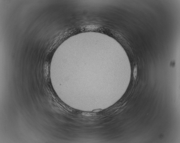 X0000115181299200912091037