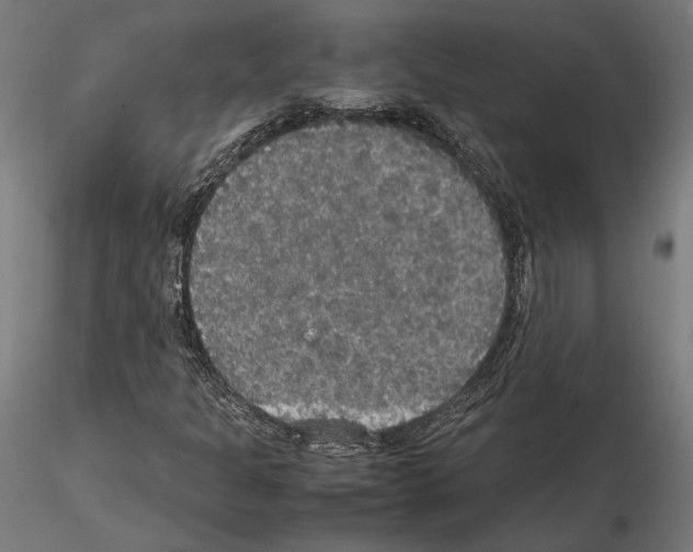 X0000115181301200912091037