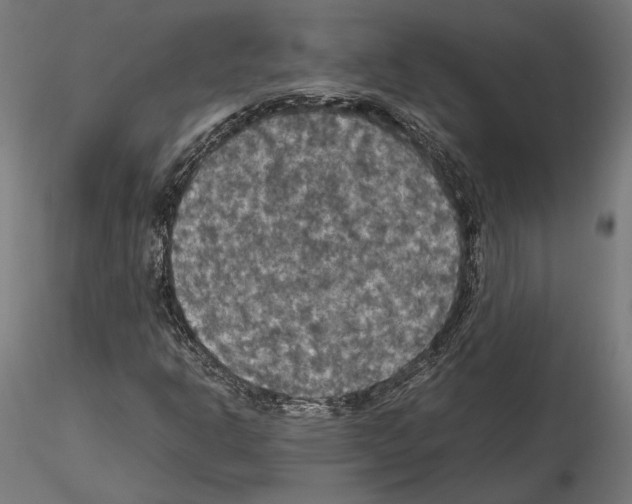 X0000115181302200912091037