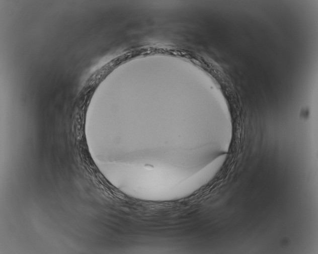 X0000115181303200912091037
