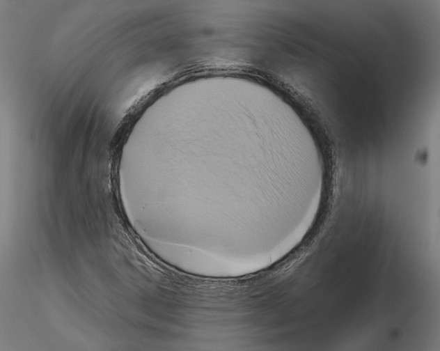 X0000115181306200912091037