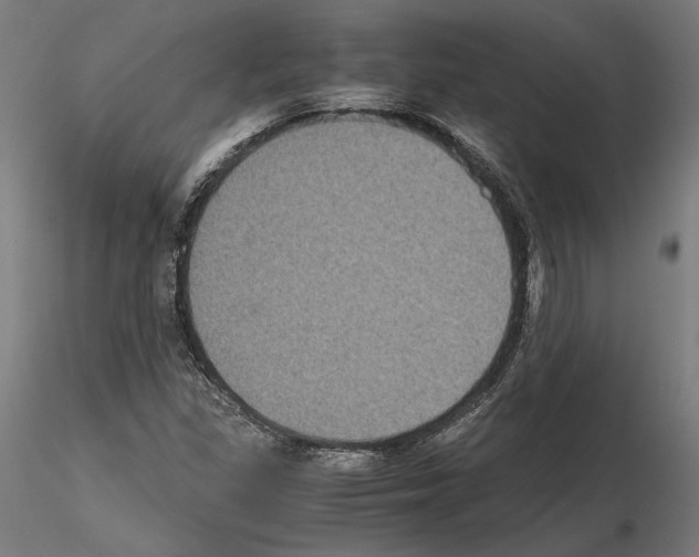 X0000115181309200912091037