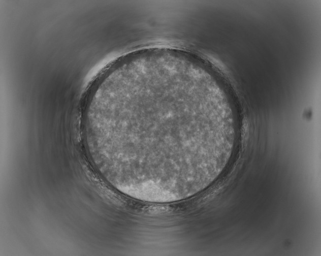 X0000115181310200912091037