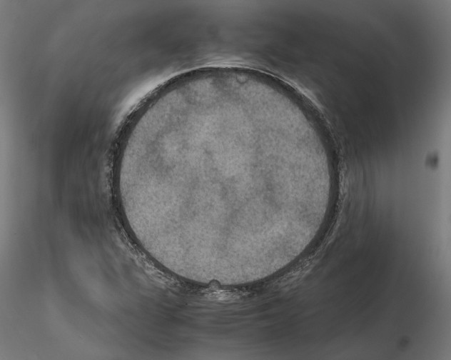 X0000115181311200912091037