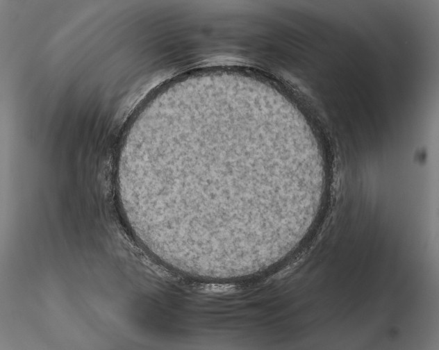 X0000115181313200912091037