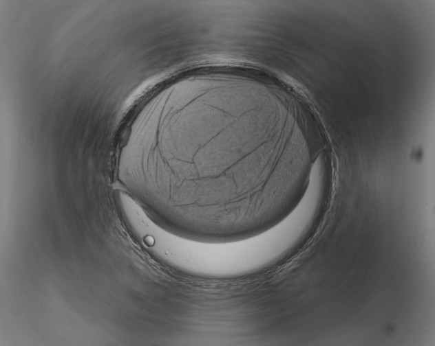 X0000115181314200912091037
