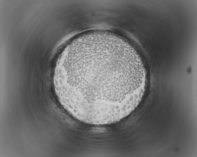 X0000115181315200912091037
