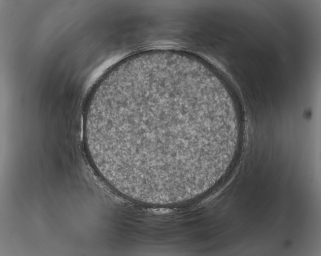 X0000115181317200912091037