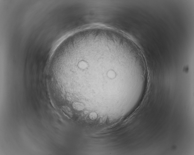 X0000115181318200912091037
