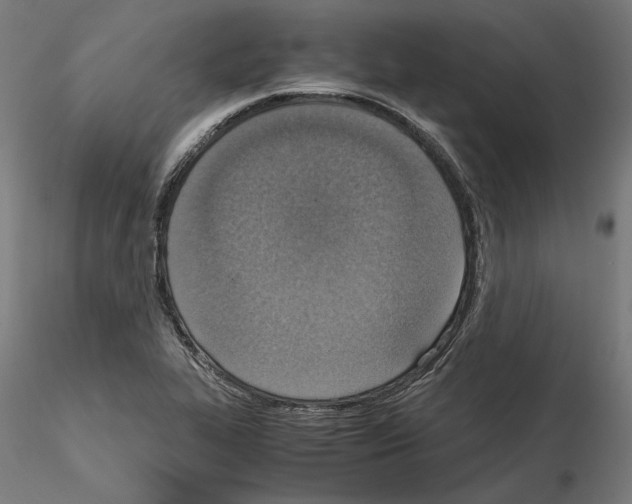 X0000115181319200912091037