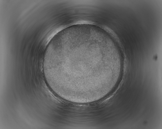 X0000115181321200912091038