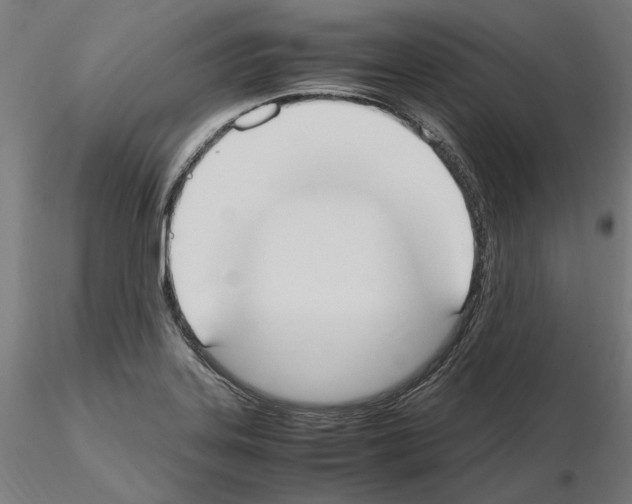 X0000115181323200912091038