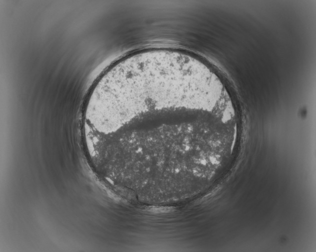 X0000115181325200912091038
