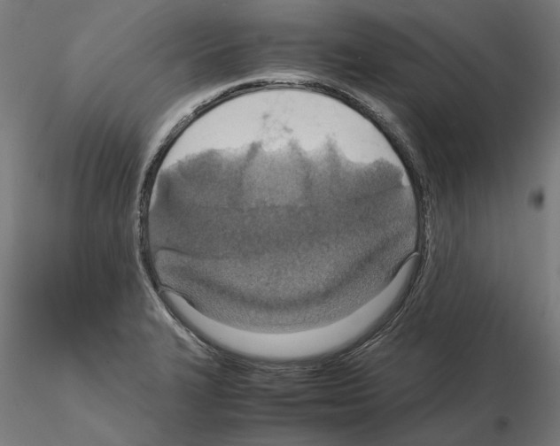 X0000115181327200912091038