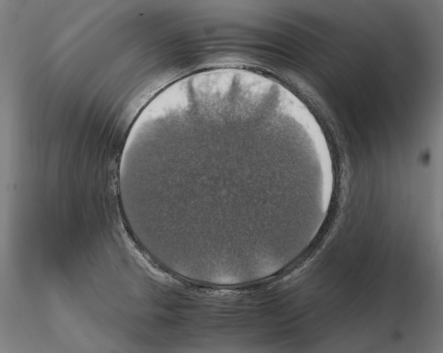 X0000115181329200912091038