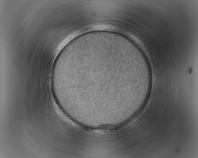 X0000115181330200912091038