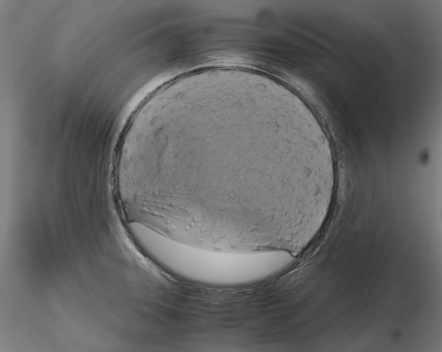 X0000115181331200912091038