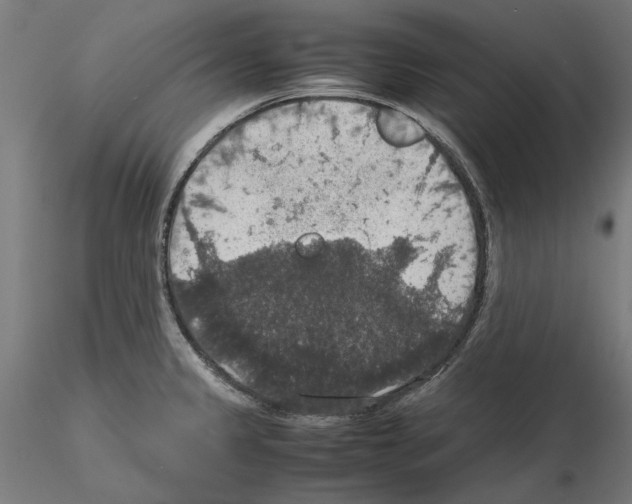X0000115181333200912091038