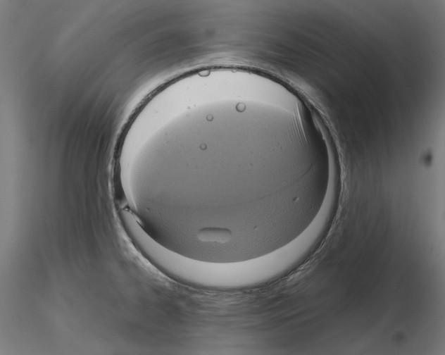 X0000115181334200912091038