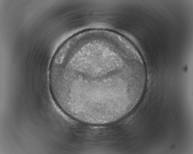 X0000115181335200912091038