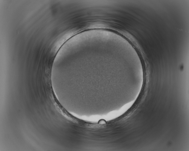 X0000115181337200912091038
