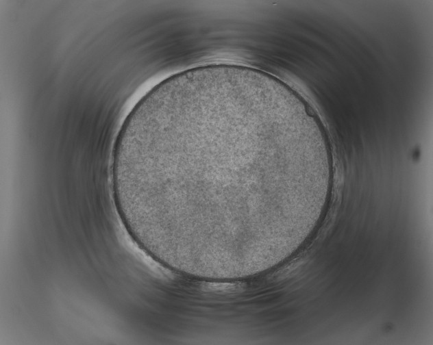 X0000115181339200912091038