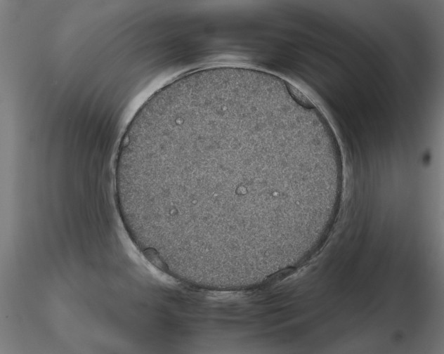 X0000115181341200912091038